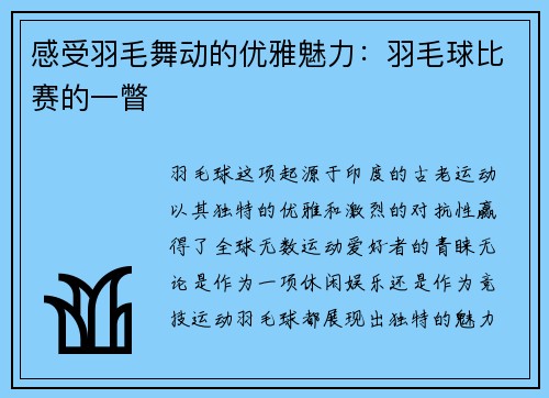 感受羽毛舞动的优雅魅力：羽毛球比赛的一瞥