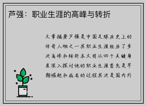 芦强：职业生涯的高峰与转折